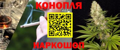 Альфа ПВП Северобайкальск