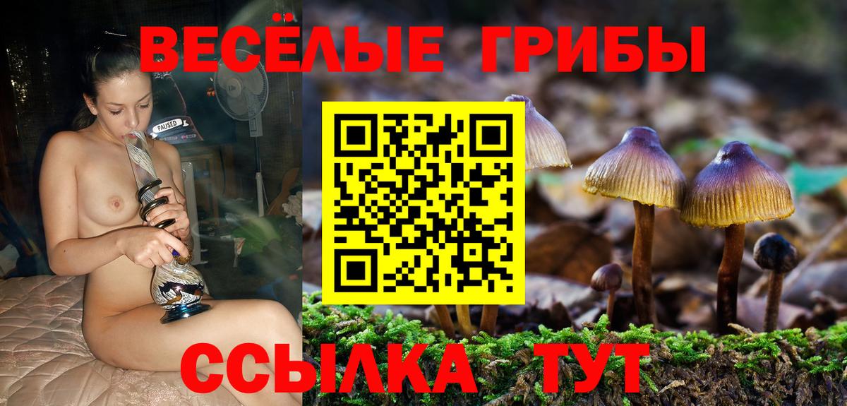 Псилоцибиновые грибы Psilocybe Павловский Посад
