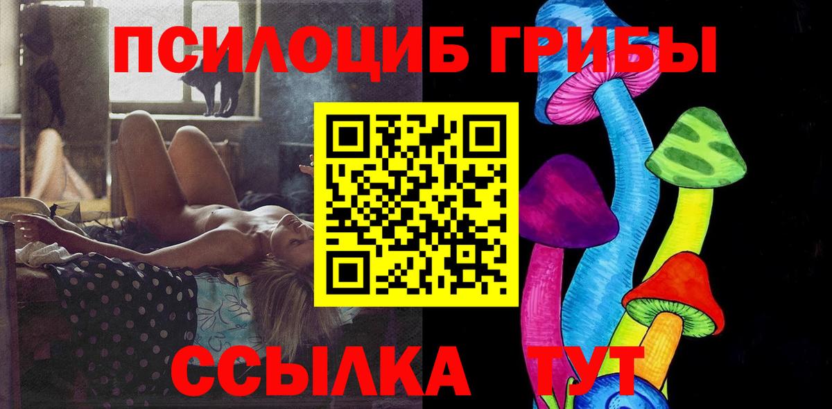 Галлюциногенные грибы мухоморы  цена   Галлюциногенные грибы Psilocybine cubensis  Павловский Посад  Вход с VPN 